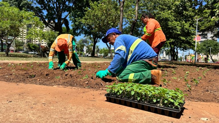 Prefeitura lança Projeto Florescer Goiânia para revitalizar áreas verdes com paisagismo colorido