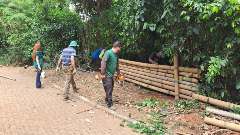 Amma conclui instalação de paliçadas no Parque Areião e inicia plantio de mudas nativas