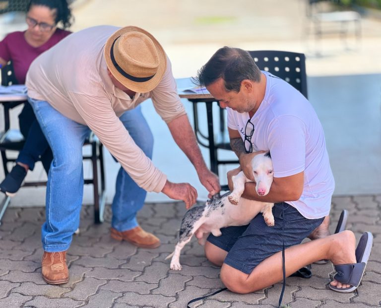 Prefeitura de Goiânia passa a oferecer vacinação antirrábica permanente em 10 locais da cidade 