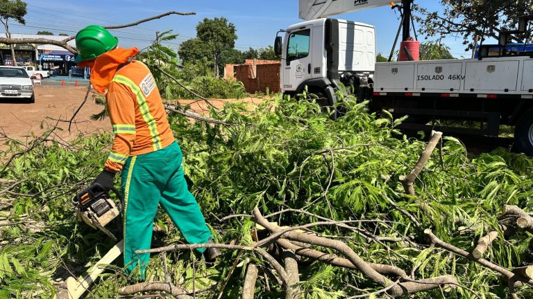 MPGO instaura procedimento para acompanhar política de arborização e combater podas irregulares em Goiânia