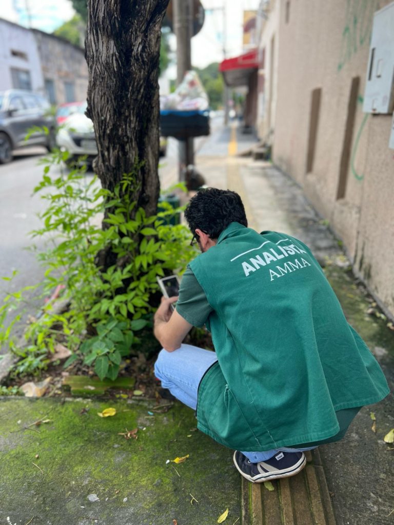 Prefeitura de Goiânia orienta sobre como solicitar vistoria arbórea para poda ou retirada de árvores em áreas públicas 
