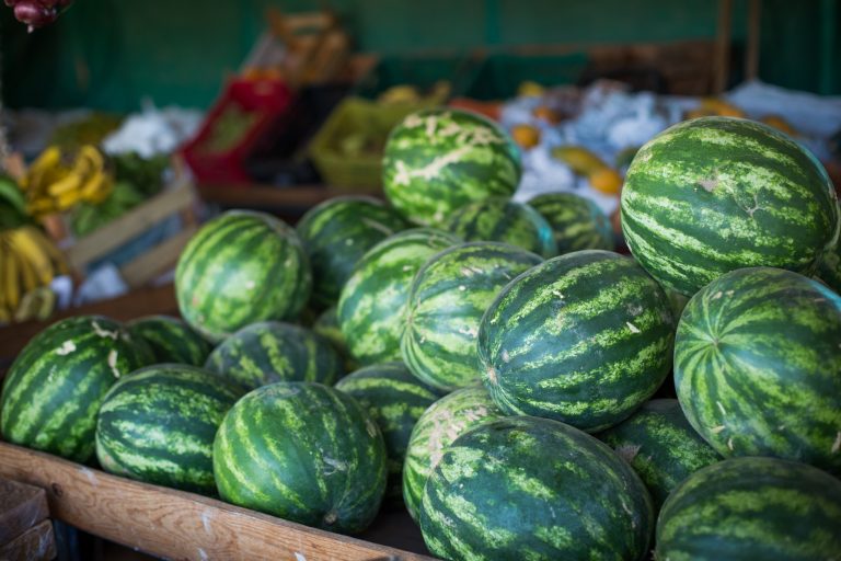 Produção de melancia atinge recorde em Goiás em 2024 e consolida estado na liderança do país