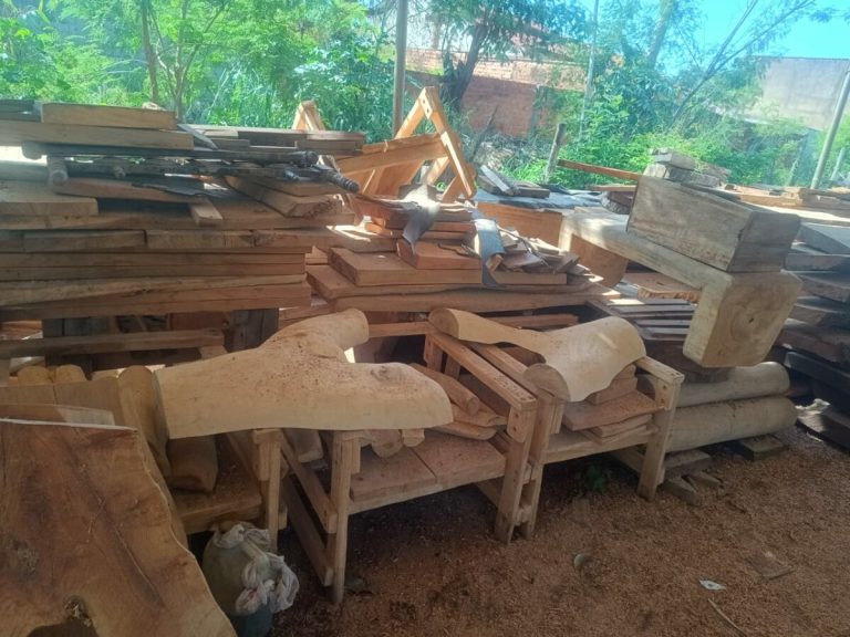 Polícia Civil de Goiás apreende madeira ilegal e interdita serraria em Niquelândia após denúncia anônima 