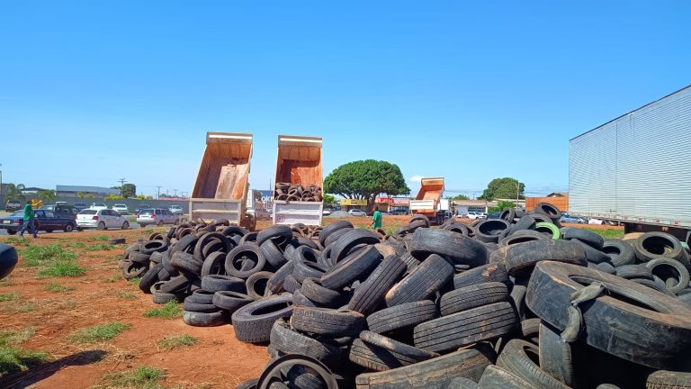 Prefeitura de Goiânia recolhe 7,5 mil pneus inservíveis em dois meses e reforça ações para o período chuvoso 