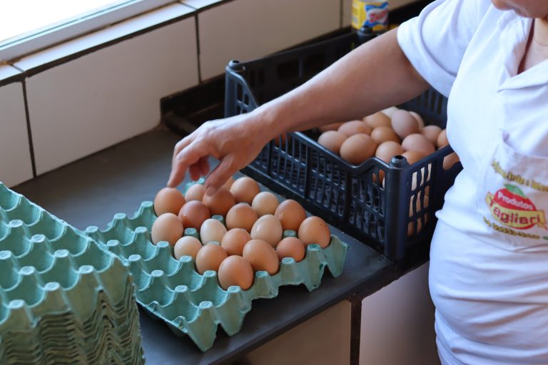 Governo de Goiás lança edital para qualificar agroindústrias de pequeno porte 