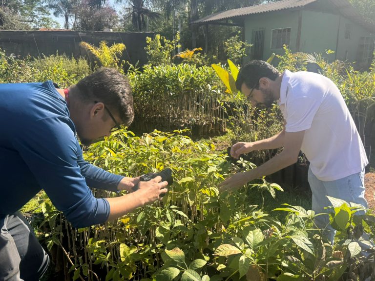 Prefeitura de Goiânia doa cerca de 3 mil mudas de plantas medicinais à população