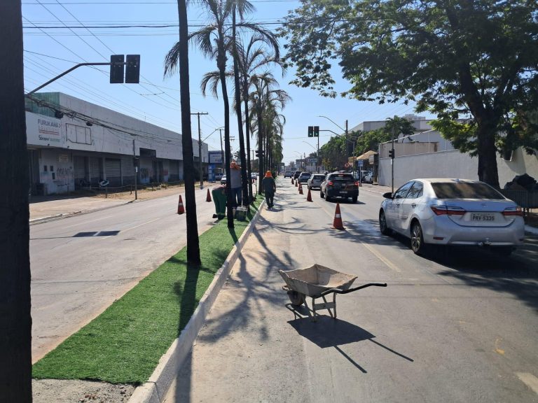 MPGO recomenda suspensão imediata do uso de grama sintética em áreas públicas de Goiânia 