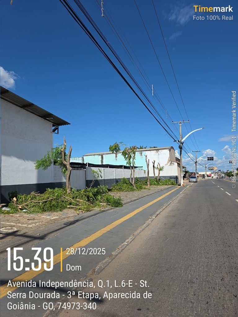 Semma e GCM apreendem caminhões da Equatorial por mutilação de árvores em Aparecida