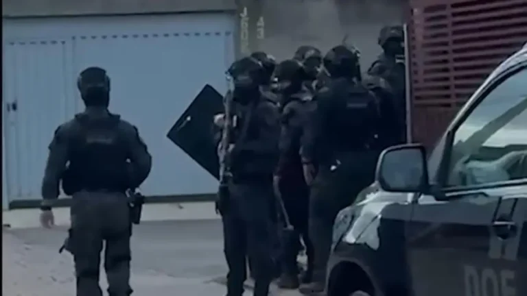 Quadrilha montava ‘escritórios do crime’ e recrutava moradores de rua para fraudar empréstimos em Goiás e outros estados 