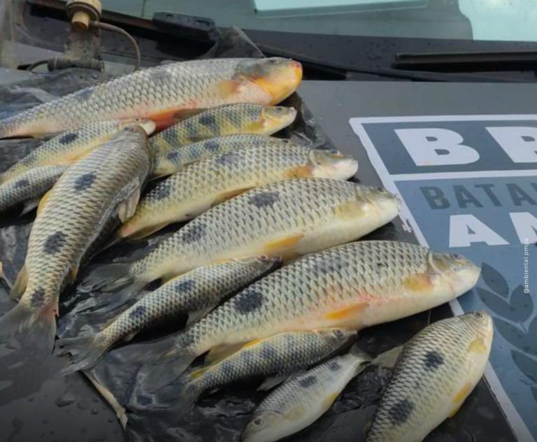 Batalhão Ambiental intensifica fiscalização contra pesca predatória durante período da piracema em Goiás