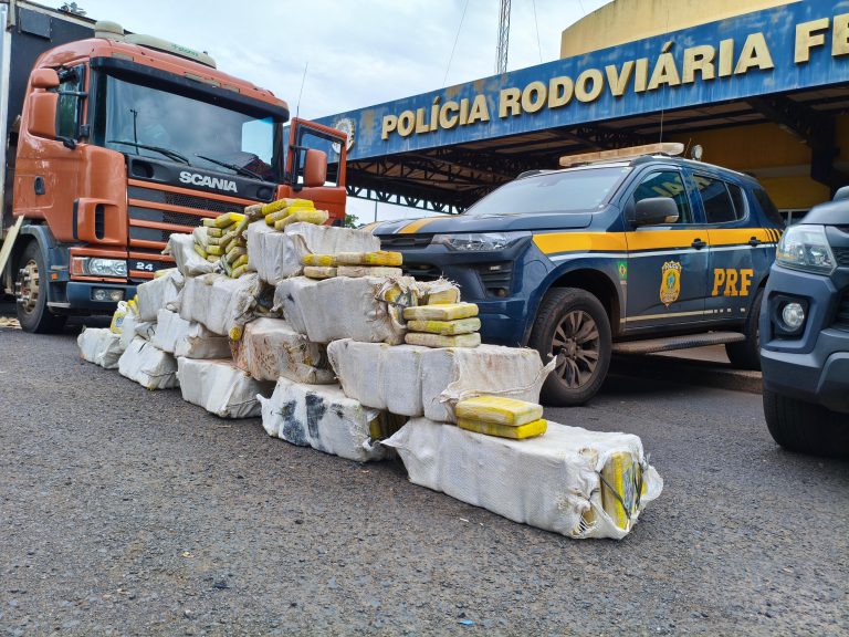 PRF apreende quase meia tonelada de maconha em caminhão na BR-452, em Itumbiara 
