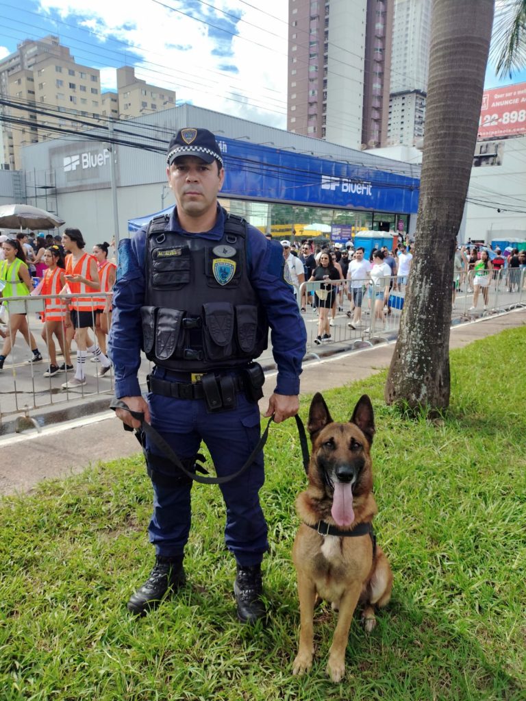 Operação Carnaval Seguro 2026 registra 402 ocorrências e segue até 1º de março em Goiânia