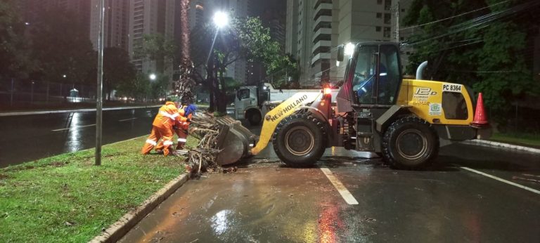Prefeitura de Goiânia intensifica ações preventivas para minimizar impactos das chuvas