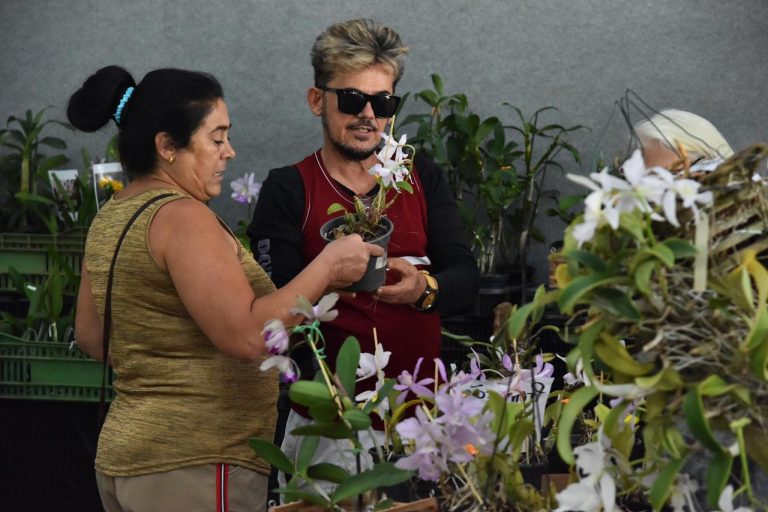 Aparecida recebe 23ª Exposição de Orquídeas e Rosas do Deserto na Semana da Mulher
