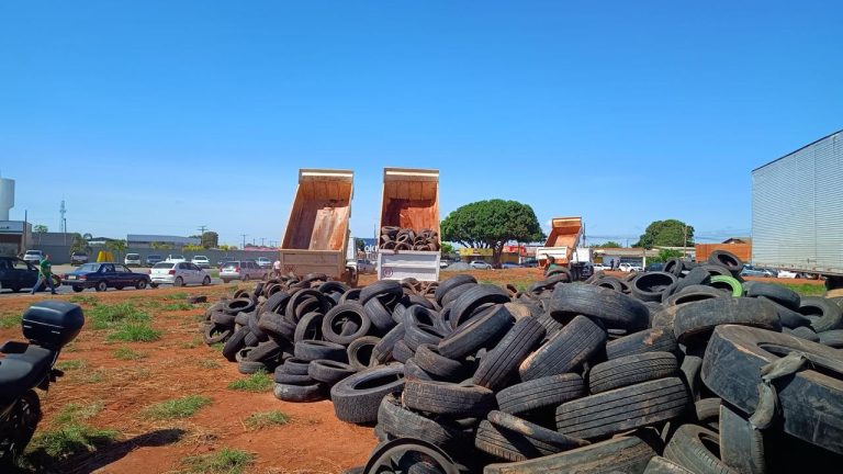 Amma realiza Dia D para descarte correto de pneus na Região Leste de Goiânia 
