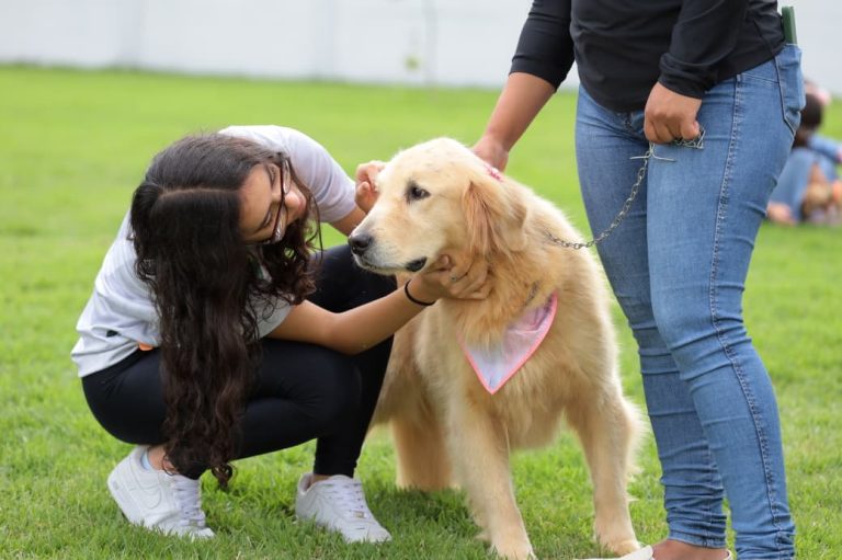 Aparecida realiza 1º Mutirão da Inclusão com serviços gratuitos para PcDs e pessoas com TEA