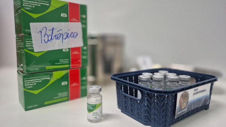 Saúde de Goiás alerta para riscos e orienta sobre primeiros socorros em casos de picadas de cobra 