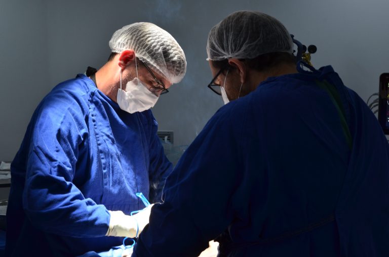 Goiás registra 64 transplantes em maio e tem alta de 240% nas doações de órgãos