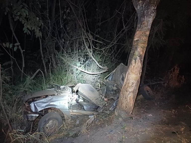 Caminhonete saiu da pista e atingiu uma árvore na BR-153, em Campinorte. O motorista, de 49 anos, morreu no local. Foto: PRF/Divulgação.