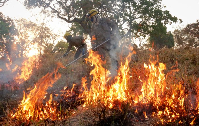 Governo de Goiás orienta população a evitar queimadas durante período de estiagem