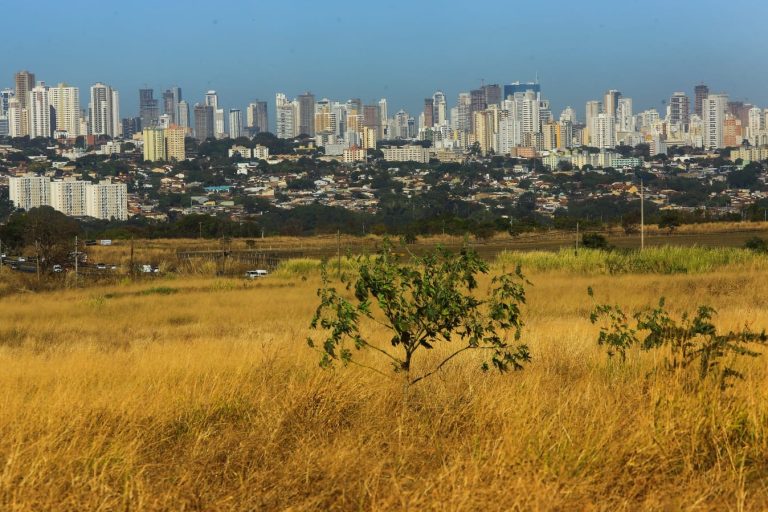 Calor intenso deve marcar novo veranico em Goiás, com máximas de até 42ºC