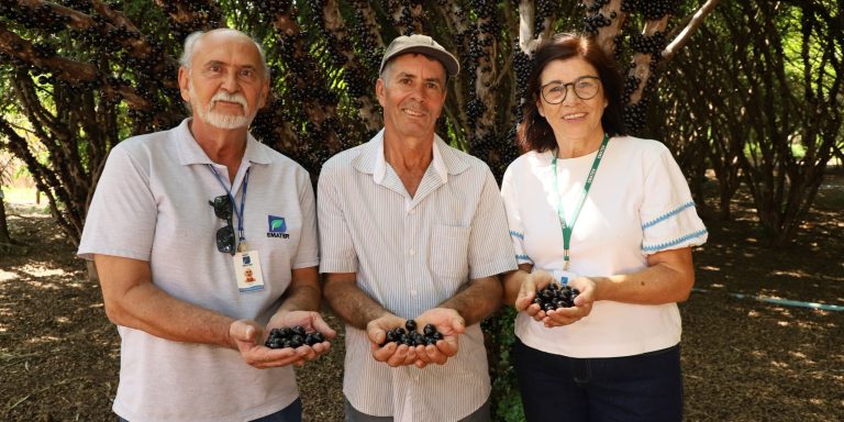 Emater Goiás promove V Encontro Técnico sobre produção de jabuticaba em Hidrolândia