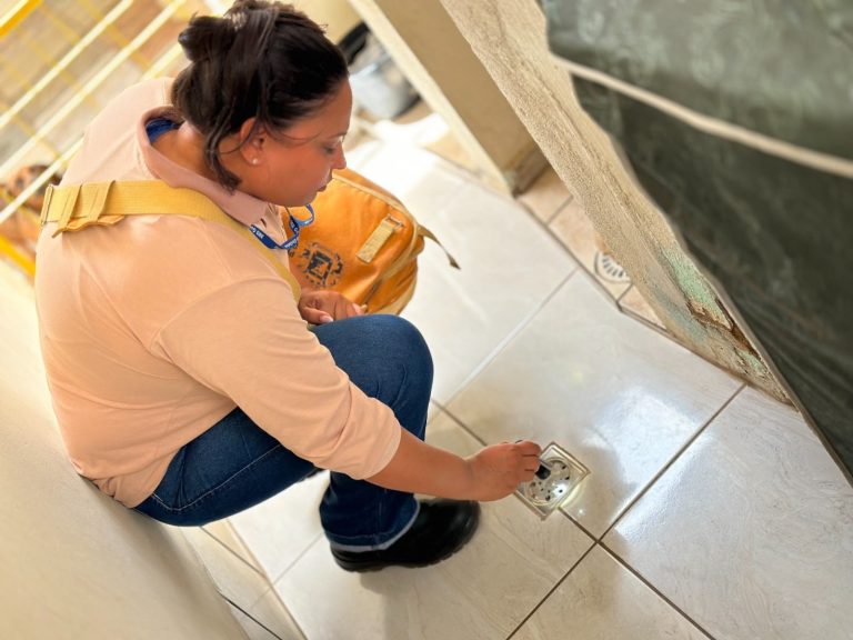 Goiânia intensifica combate à chikungunya e alerta população sobre criadouros do Aedes