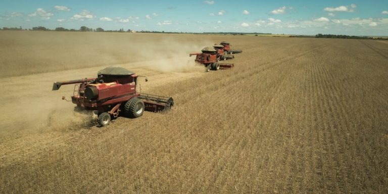 Goiás exporta US$ 9,6 bilhões e acumula superávit de US$ 5,6 bilhões de janeiro a agosto