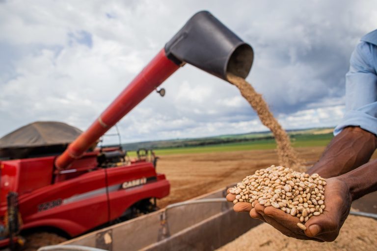 Rendimento médio no agronegócio de Goiás cresce 20,5% em um ano