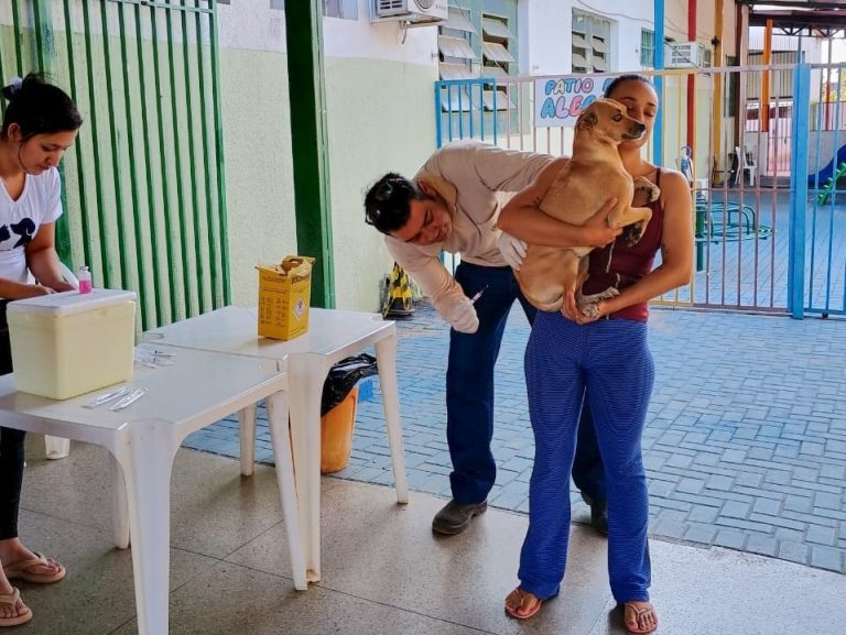 Goiânia terá 166 pontos de vacinação antirrábica neste sábado (12)